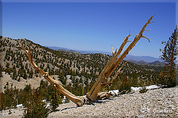 Blick in Richtung Nevada